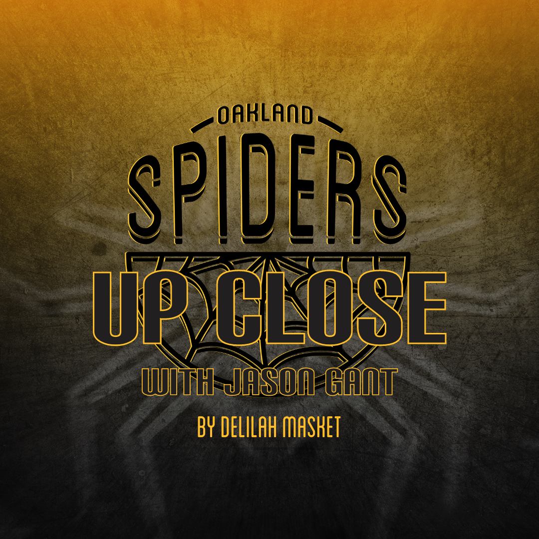 Spiders Up Close Part 2 - with Delilah Masket